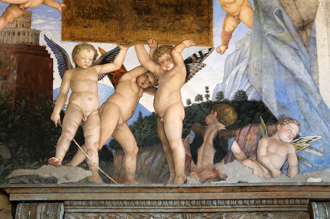 Immagine in evidenza per Farfalle