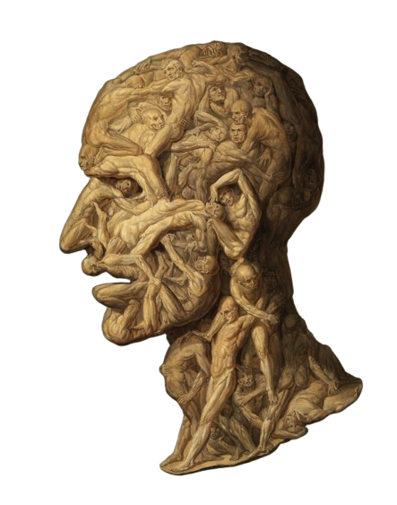 Testa anatomica illustrativa